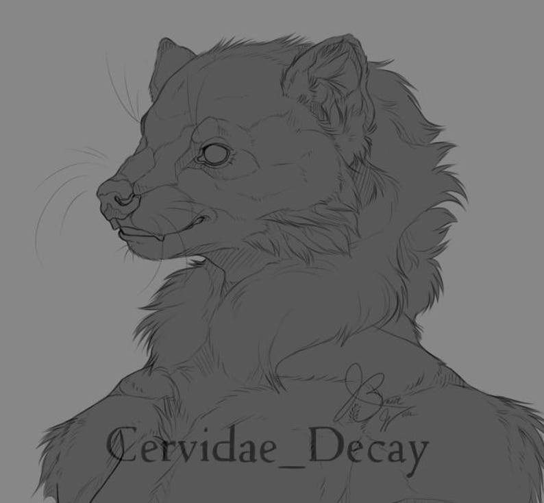 May include: Line art drawing of a furry animal with a long snout and large ears. The animal is looking to the left and has a slightly mischievous expression. The drawing is signed "Cervidae_Decay" in the lower right corner.