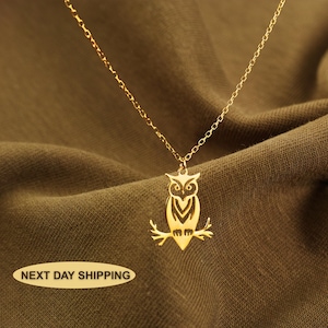 14K Gold Owl Necklace - Dainty Owl Jewelry for Women, Gold Owl Charm Pendant, Perfect Gift for Bird Lovers & Her