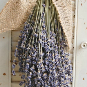 Dried Lavender Bouquet / French Lavender Bunch / Rustic Wedding Decor / Barn Wedding Decor image 2