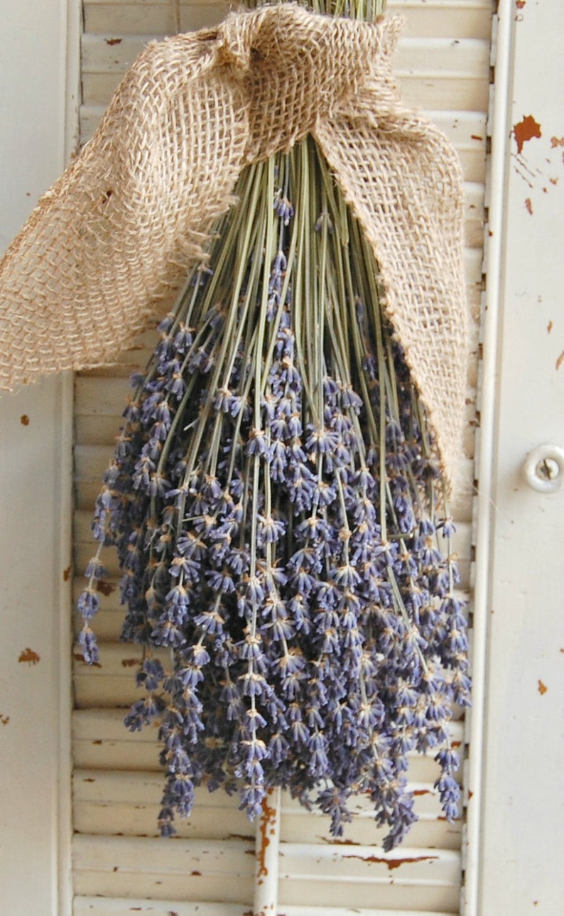 Dried Lavender Bouquet / French Lavender Bunch / Rustic Wedding Decor / Barn Wedding Decor image 2