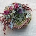 see more listings in the DRIED FLOWERS section