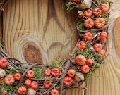 RESERVED for Sarah-Kate TWO 14-15" Fall Wreaths  / Autumn  Pumpkin Wreath  /  Rustic  Wreath /  Halloween Putka Pod Acorn  Wreath