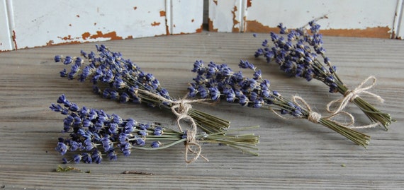 How to Dry Lavender and DIY Lavender Decorating Ideas - Petite Haus