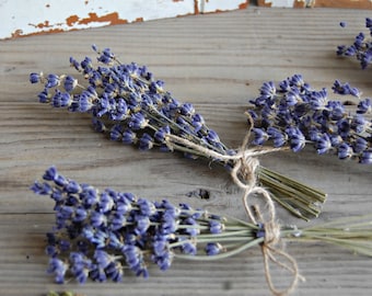 100  each Dried Lavender Bunches / Petite Bundles  / Sprigs / Mini Lavender Bouquets  / Wedding Decor /Shower Decor