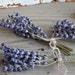 see more listings in the DRIED LAVENDER BUNCHES section