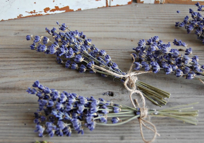 50 Each Dried Lavender Bunches Petite Bundles Sprigs Mini Lavender Bouquets Wedding Decor Shower Decor Bouquets Weddings Valresa Com