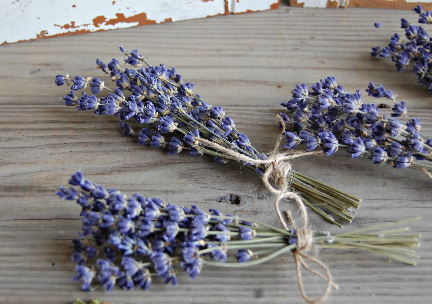 Small Dried Lavender Bouquet with Larkspur or Billy Balls – Mossy Moss by  Olia