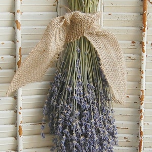 Dried Lavender Bouquet / French Lavender Bunch / Rustic Wedding Decor / Barn Wedding Decor image 1