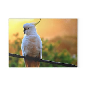 Cockatoo Parrot Glass Cutting Board | Tropical Bird Kitchen Decor