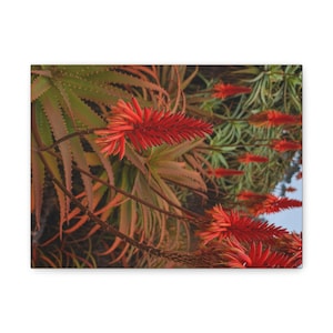 Vibrant Floral Canvas Art, Wall Decor, Botanical Print, Tropical Home Decor, Gift for Nature Lovers, Bright Red Flowers