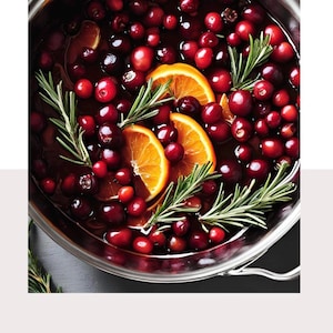 May include: A stainless steel pot filled with cranberries, orange slices, and rosemary sprigs. The pot is sitting on a gray surface. The text "THE SIMMER POT Recipes for Every Season" is below the image.