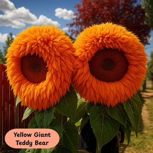 50pcs Rare Giant Enchanting Teddy Bear Sunflower Seeds (Choose Pink, Blue, Yellow, Purple), Unique Fluffy Blooms, Non-GMO Heirloom Annuals