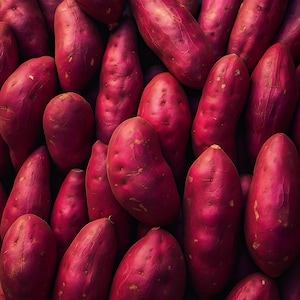 Mixed Sweet Potato Slips: Japanese, Hawaiian, Western Varieties - 10 Live Plants