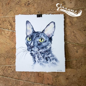 Custom Cat Portrait from Photo - Hand-Painted Watercolor - real artwork on Paper or Digital download, Any Breed, Personalized Pet Art