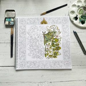 Colouring Book titled "Wild Wood" by Amanda Clark - colouring in book, adult colouring book, eco coloring book, gifts for her.