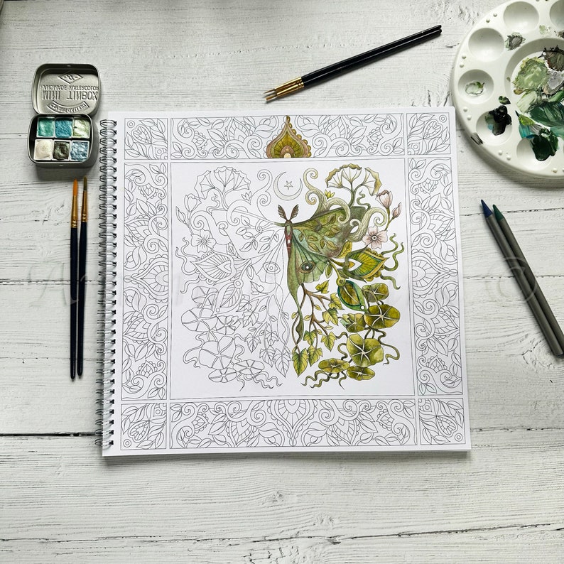 Colouring Book titled Wild Wood by Amanda Clark colouring in book, adult colouring book, eco coloring book, gifts for her. image 1