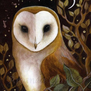 Puede incluir: Un b&uacute;ho de granero blanco y marr&oacute;n con grandes ojos negros est&aacute; posado en una rama en un entorno de bosque oscuro. El b&uacute;ho est&aacute; mirando directamente al espectador. El fondo es azul oscuro con hojas doradas y marrones y una luna creciente.