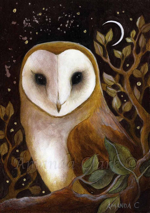 Barn Owl Art Print "Night Watcher" by Amanda Clark - fairy tale, woodland