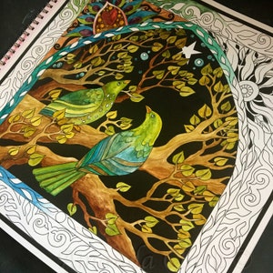 Colouring Book titled 'Wild Things' by Amanda Clark - colouring in book, adult colouring book, eco coloring book, mandala colouring in