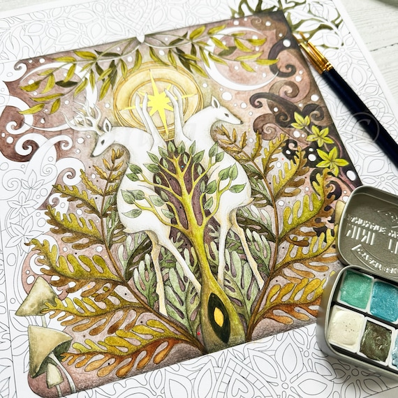 Adult Colouring Book "Wild Wood" by Amanda Clark - Intricate Woodland Fairy Tale Coloring Pages
