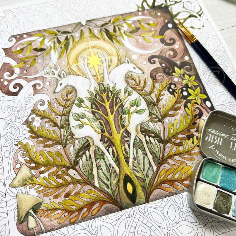 Colouring Book titled Wild Wood by Amanda Clark colouring in book, adult colouring book, eco coloring book, gifts for her. image 2