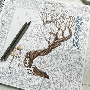 Colouring Book titled Wild Wood by Amanda Clark colouring in book, adult colouring book, eco coloring book, gifts for her. image 6