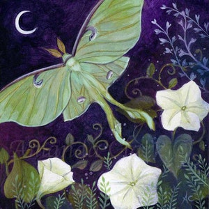 May include: A green luna moth with delicate wings flies against a dark purple background with white flowers and green foliage. A crescent moon is visible in the upper left corner.