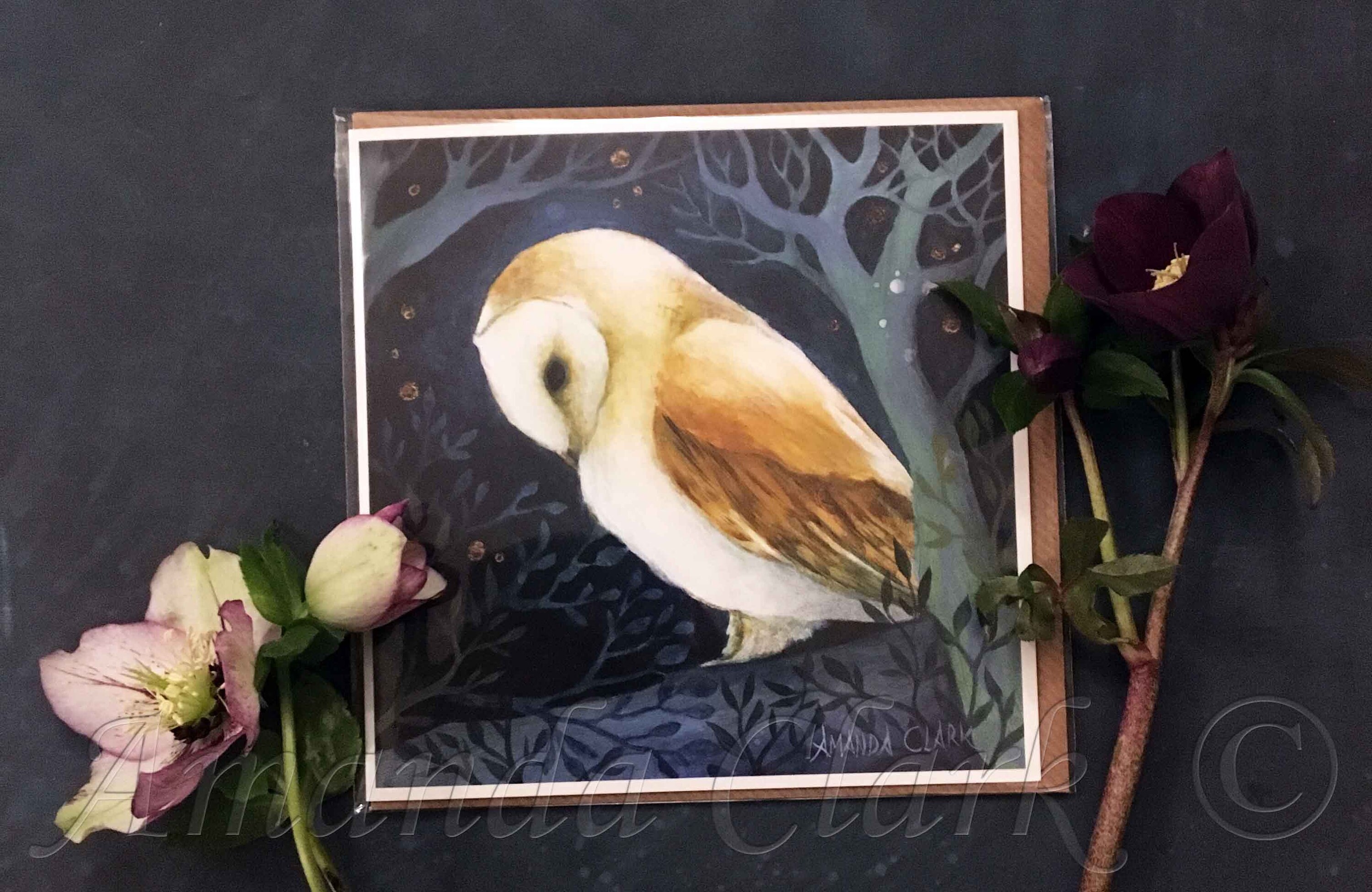 Greeting Card - Home in the Trees
