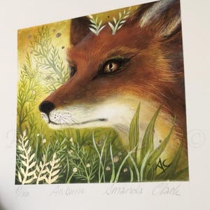 Pu&ograve; includere: Un primo piano di una volpe rossa con occhi verdi, circondata da fogliame verde e piccoli fiori bianchi. La volpe guarda a destra dell'immagine. L'immagine &egrave; firmata "Auburn  Lonards Clarke" e numerata "6/100".