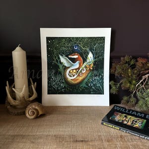 May include: A fine art print depicting a fox and a dove nestled together in a woodland scene. The fox is orange and white, and the dove is white. The background is a dark green with stars and a crescent moon. The print is titled "Transformation" and signed by the artist.