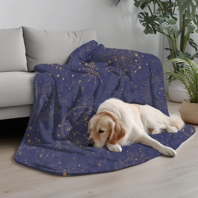 May include: A soft blue throw blanket with a gold celestial pattern featuring stars, moons, and suns. A golden retriever dog is lying on the blanket.