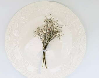 Vintage Himark Garden White Dinner Plate  - Embossed Fruit Vine Rim  9.5 Inches Plate Made in Japan
