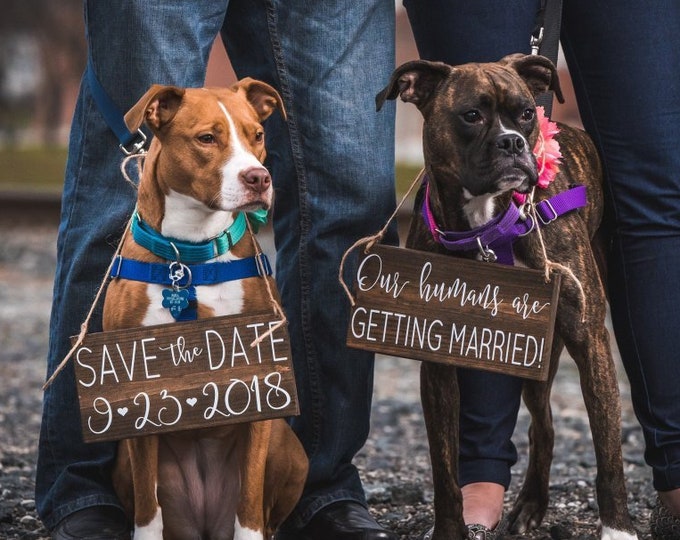 Dog Save the Date Signs Save the Date Dog Signs Our Humans Etsy