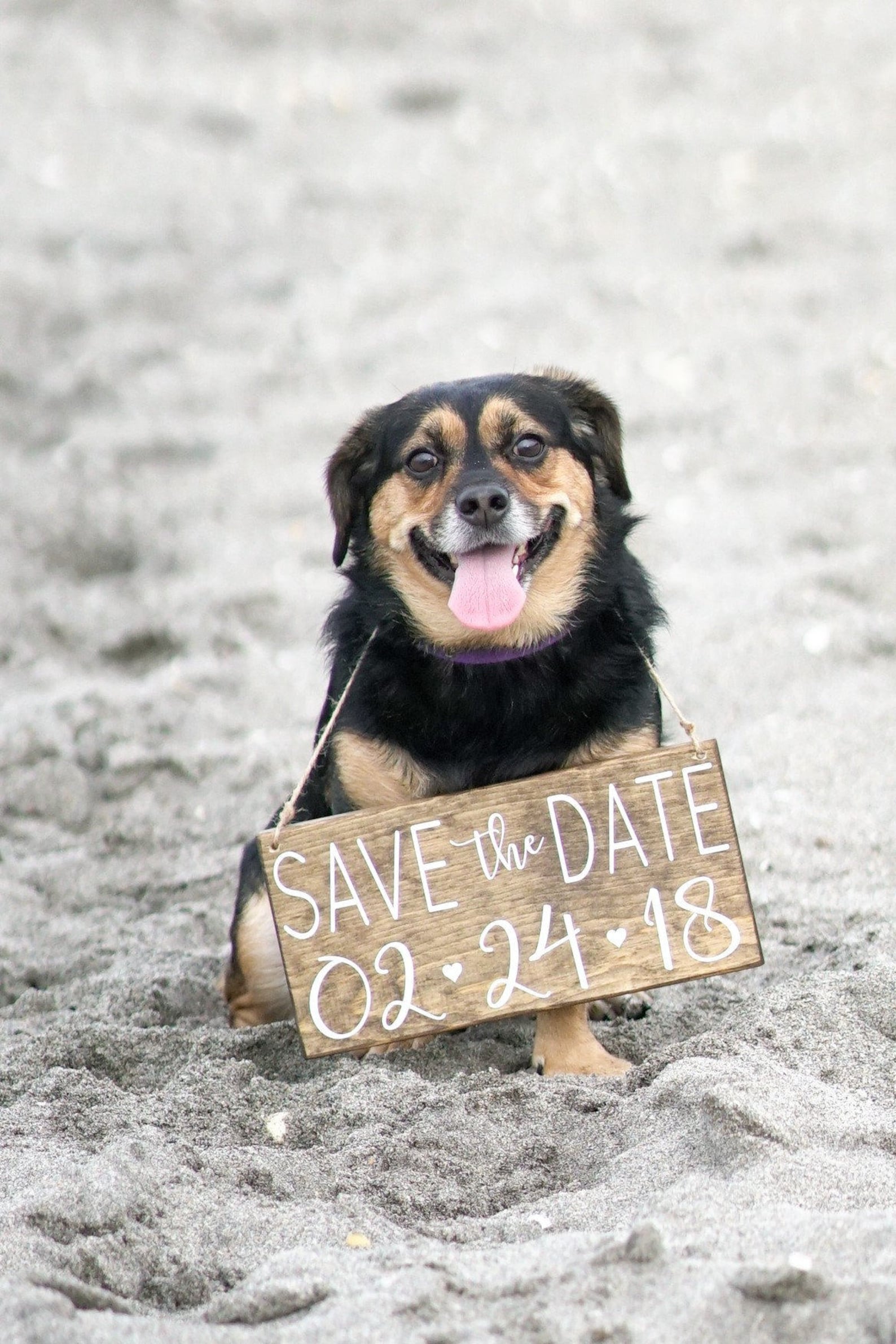 Dog Save the Date Signs Save the Date Dog Signs Our Humans Etsy