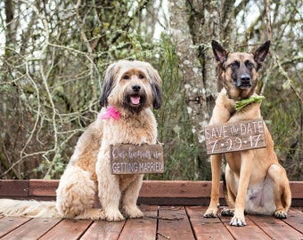 Dog Save the Date Signs, Save the Date Dog Signs, Our Humans are Getting Married, Pet Wedding SiGn, Save the Date Sign, Wedding Sign