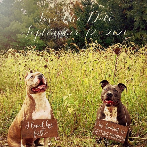 Dog Save the Date Signs Save the Date Dog Signs Our Humans Etsy