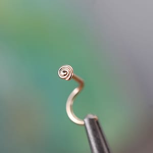 May include: A gold spiral nose ring with a curved post.