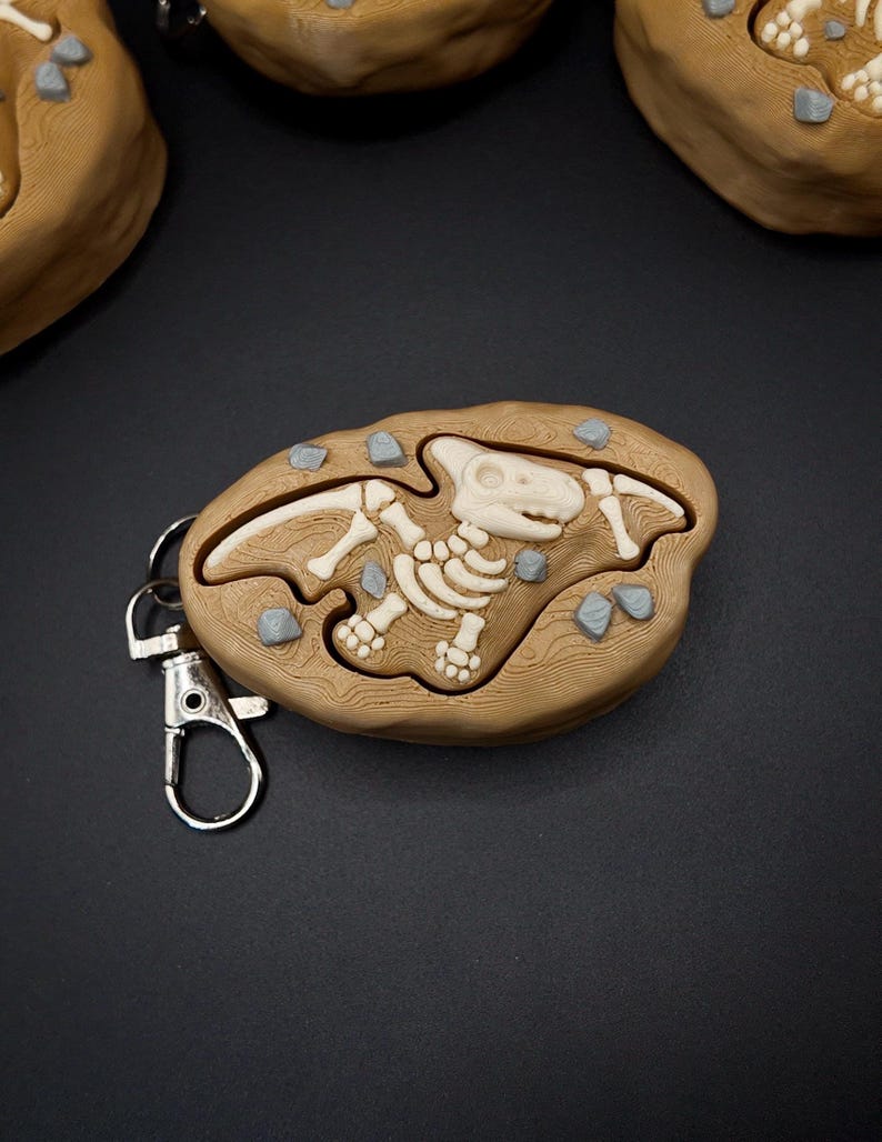 Dinosaur Fossil Clicker Fidgets - Sensory Keychains - 3D Printed 1 Pack (Option 1)