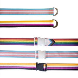 以下が含まれることがあります： さまざまなバックルが付いた、5種類のカラフルなファブリックベルト。ベルトには、レインボー、トランスジェンダー、バイセクシュアルのプライドフラッグのデザインが施されています。