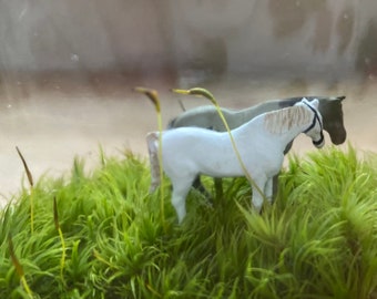 Moss Terrarium “loverly horses”