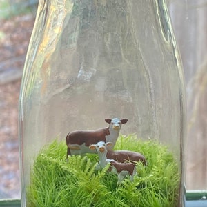 Moss Terrarium wee cow family image 2
