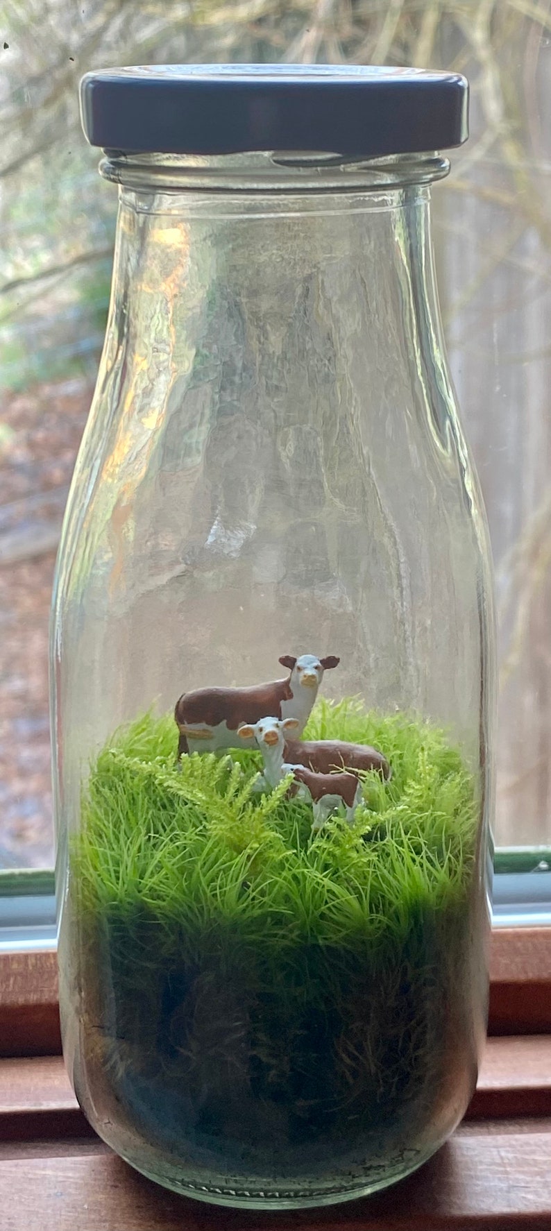 Moss Terrarium wee cow family image 2