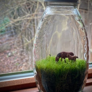 Moss Terrarium “parent and child”