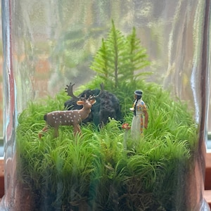 Moss Terrarium we are nature Bild 1