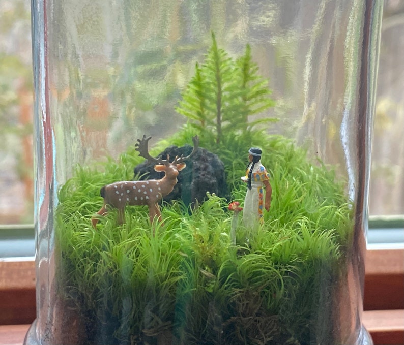 Moss Terrarium we are nature Bild 1