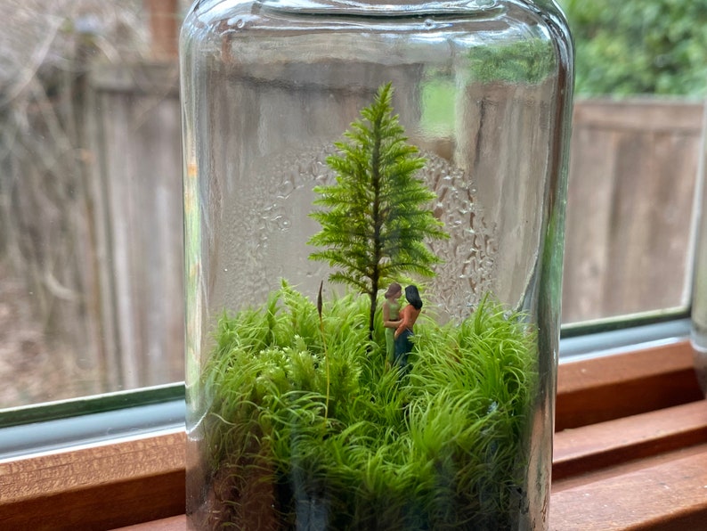 Moss Terrarium tiny lovers image 3