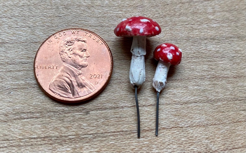 moss terrarium fly agaric mushrooms image 2