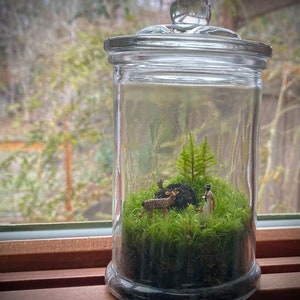 Moss Terrarium we are nature Bild 2