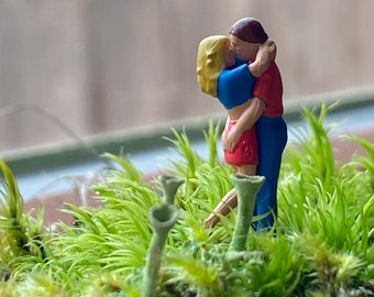 tiny loving couple for terrariums and other crafty creations