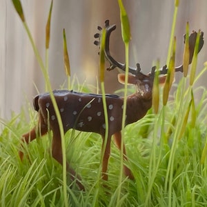 Moss Terrarium “tiny landscape with young buck”